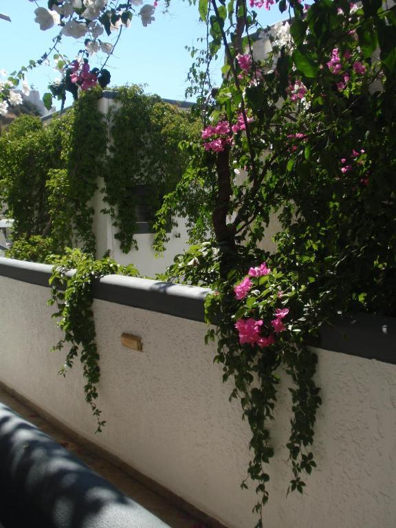Fevro Hotel อาเยียกาลินี ห้อง รูปภาพ